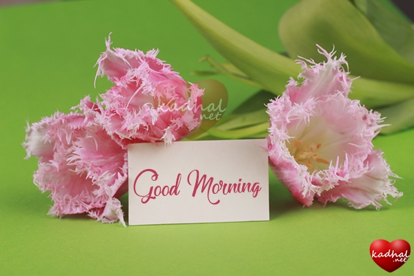 Good Morning Wishes for Boyfriend