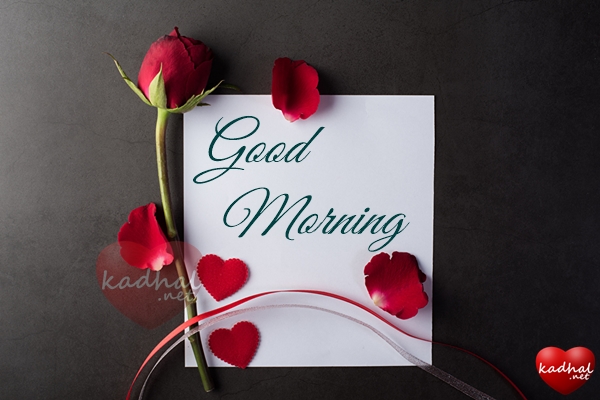 Good Morning Wishes for Girlfriend