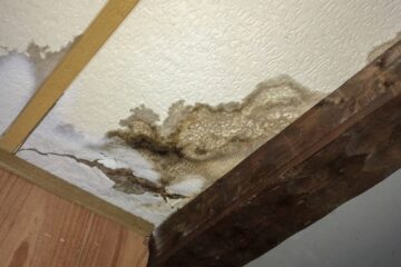 Why You Should Trust Professional Water Damage Services for Your Home