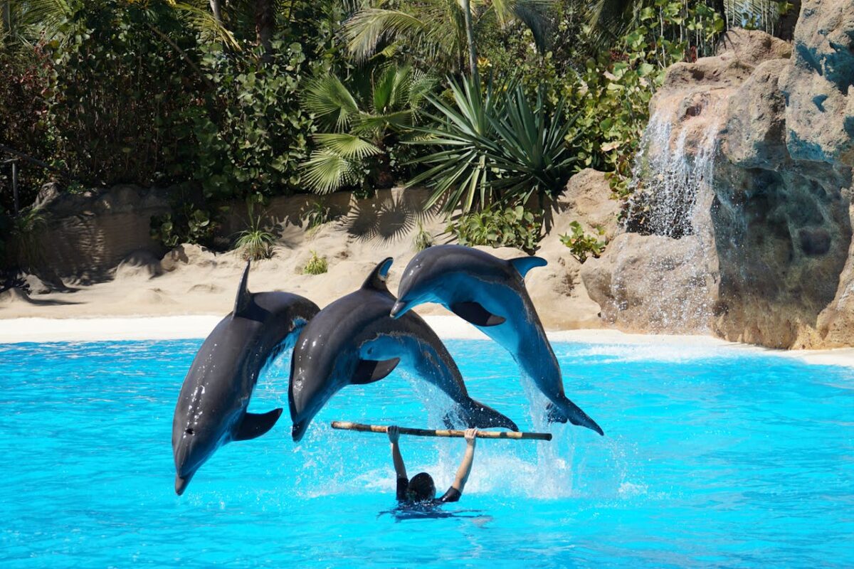 Tips To Plan A Stress Free Family Holiday