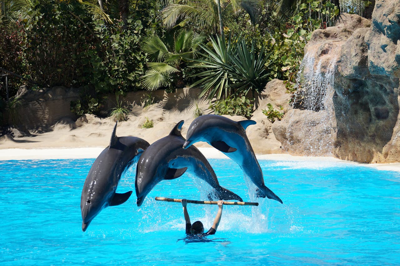 Tips To Plan A Stress Free Family Holiday