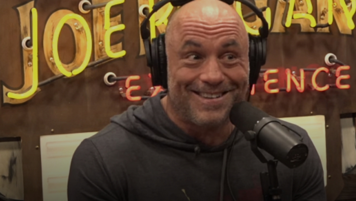 Joe Rogan - Biography, Age, Career, Net Worth