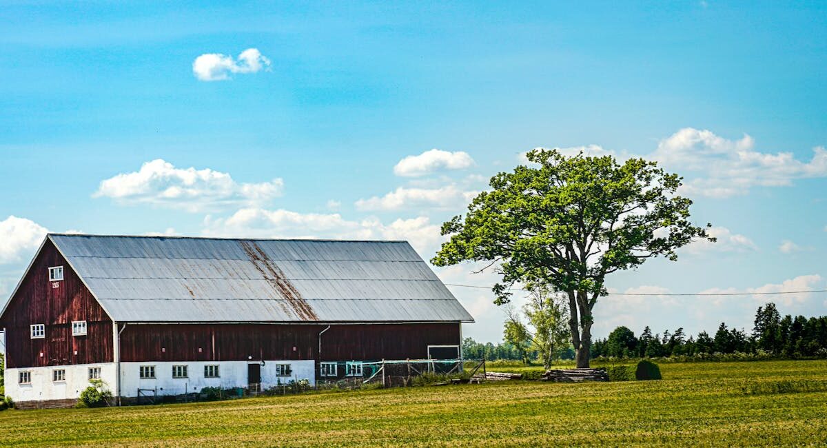 Pole Barns: What Farmers Need to Know