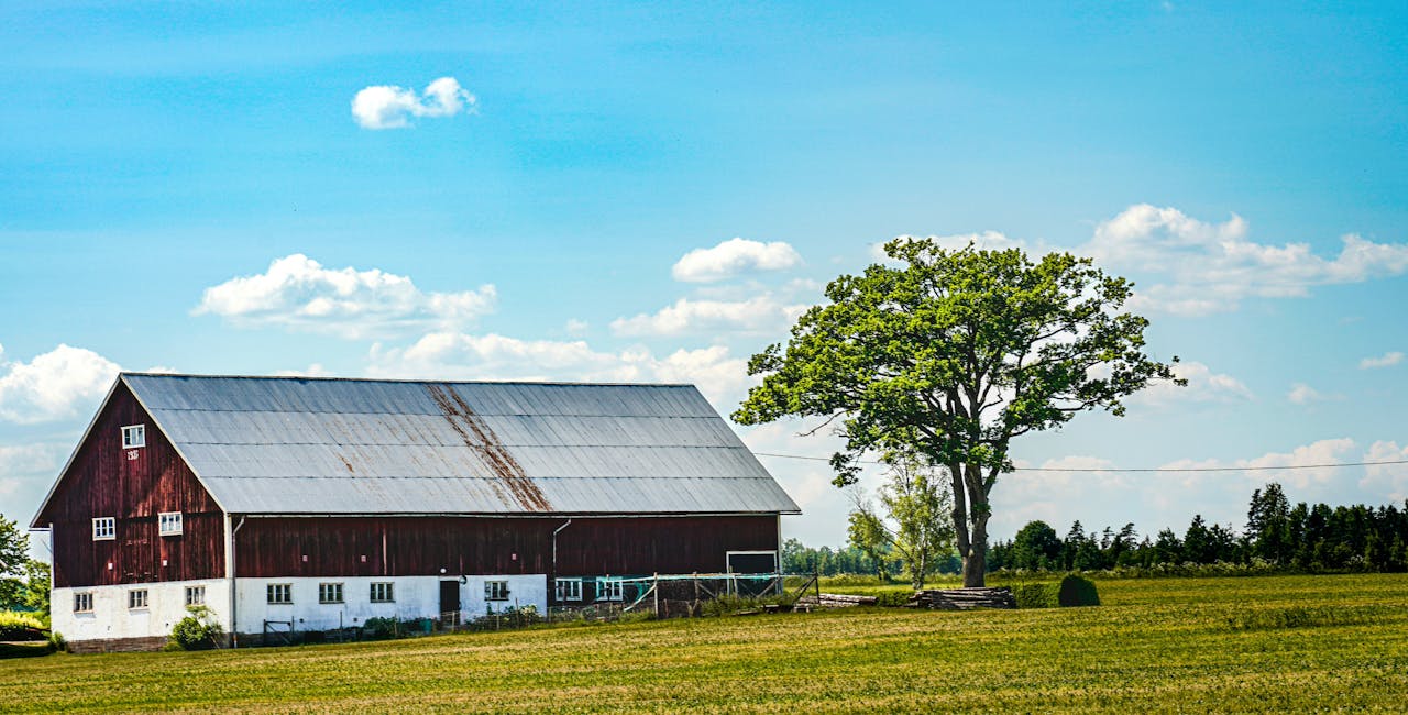 Pole Barns: What Farmers Need to Know