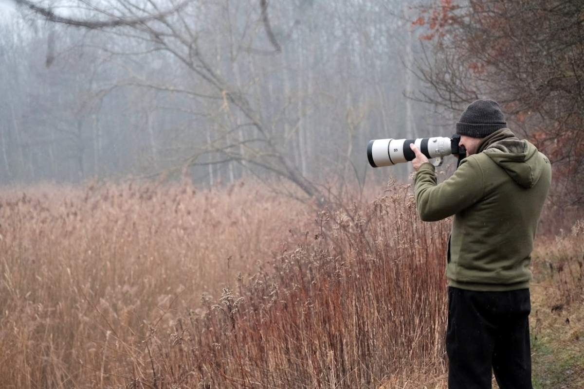 Compare corbett and ranthambore for a 5 day wildlife photography trip