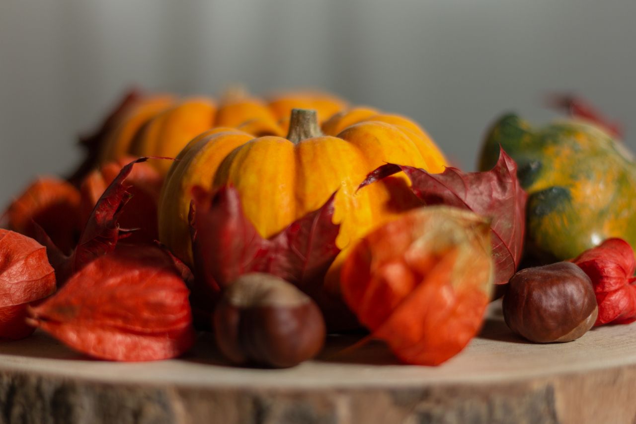 Thanksgiving Decoration Ideas: Creative Ways to Style Your Home for the Holiday