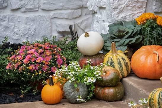 Welcoming Gourds